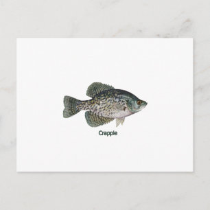 Crappie (titled) postcard
