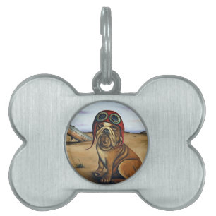 Crash Pet ID Tag