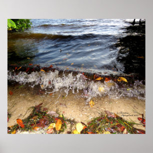 Crashing waves Colourful leaves Poster