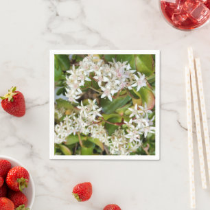 Crassula ovata Paper Napkins