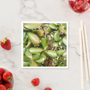 Crassula ovata Paper Napkins