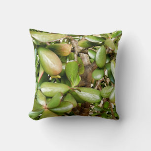 Crassula ovata Throw Cushion