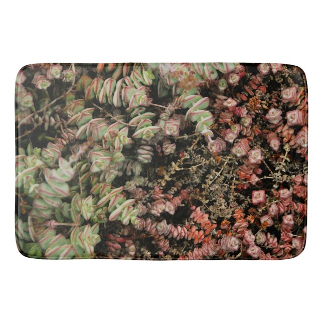Crassula perforata bath mat (Front)