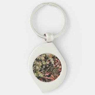 Crassula perforata key ring
