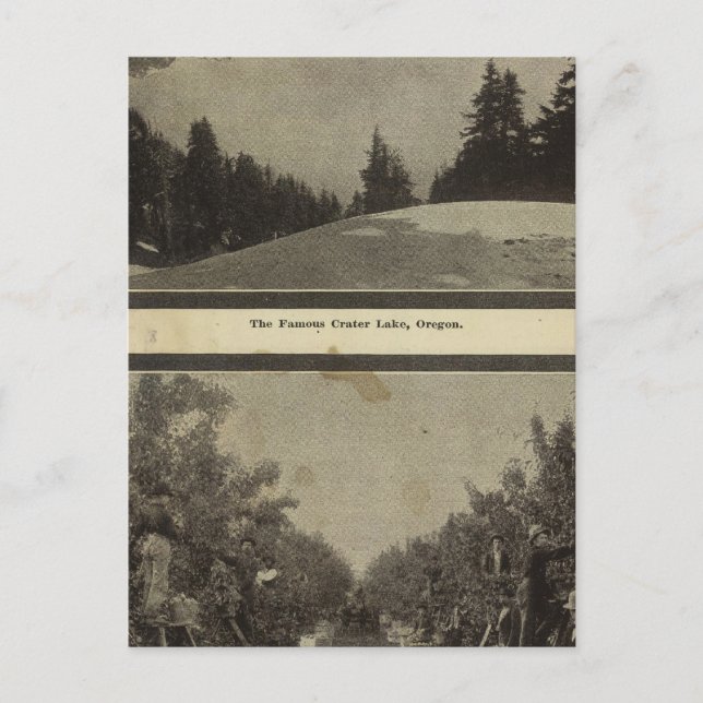 Crater Lake Oregon Orchard scene Postcard (Front)