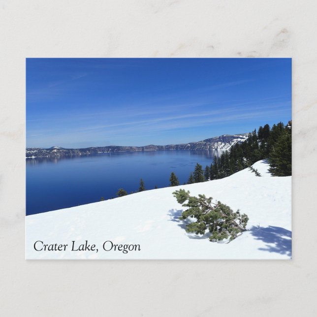 Crater Lake, Oregon Postcard (Front)