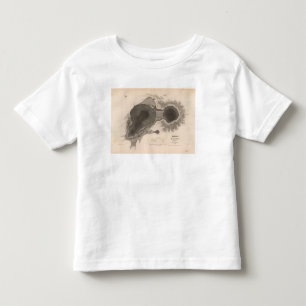 Crater of Kilauea, Hawaii Toddler T-Shirt