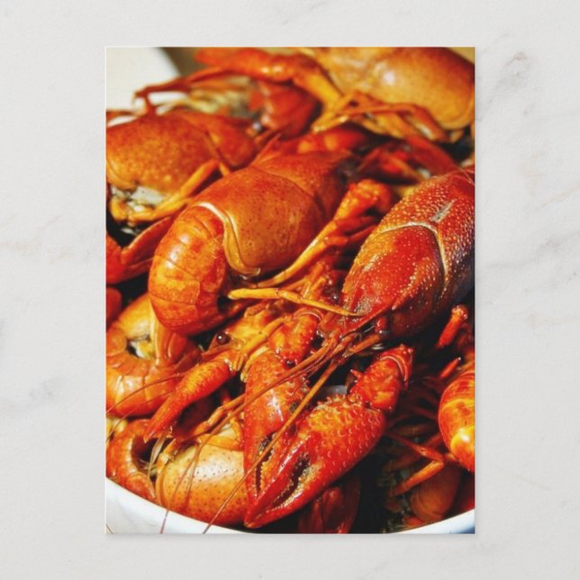 Crawfish Claws Postcard (Front)