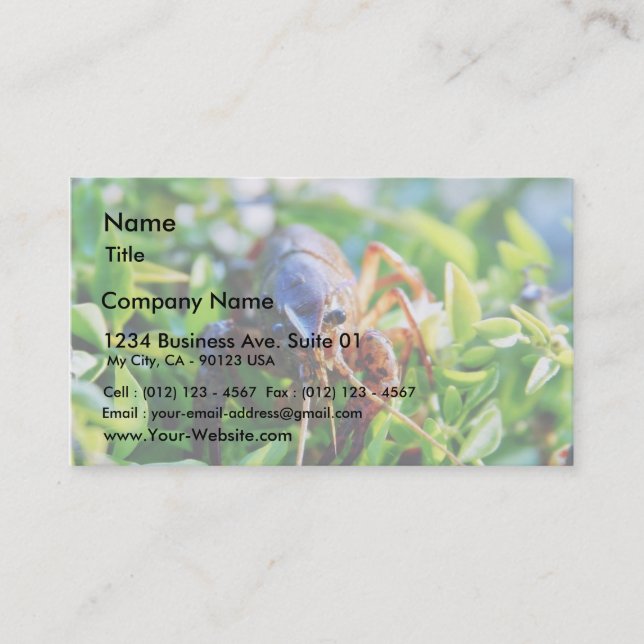 Crawfish Crawdads Crayfish Business Card (Front)