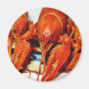 Crawfish Crawdads Craytfish Magnet