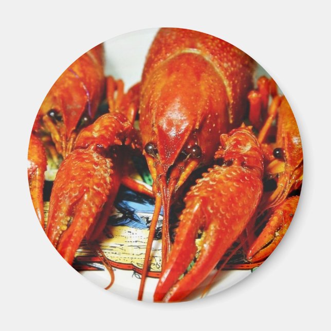 Crawfish Crawdads Craytfish Magnet (Front)