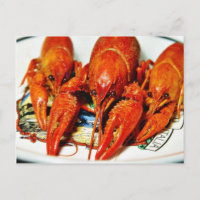 Crawfish Crawdads Craytfish