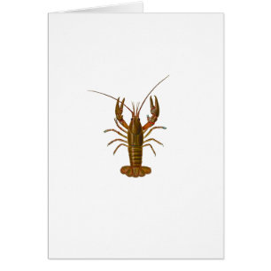 Crawfish Logo