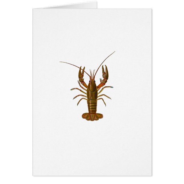 Crawfish Logo (Front)