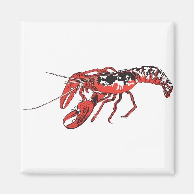 crawfish magnet (Front)