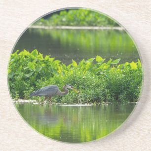 Crawfish Meal Time Coaster