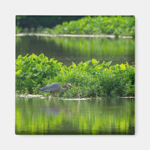Crawfish Meal Time Magnet