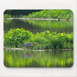 Crawfish Meal Time Mouse Pad