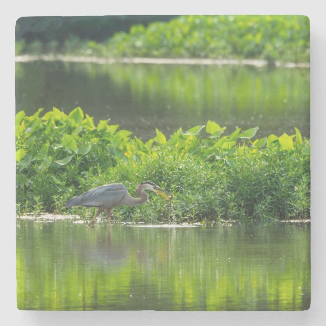 Crawfish Meal Time Stone Coaster (Front)