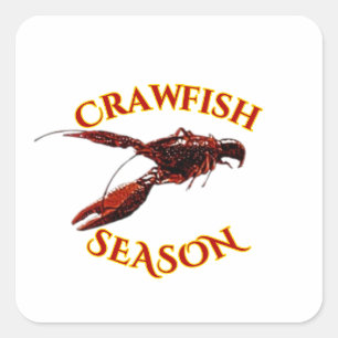 Crawfish Season Square Sticker