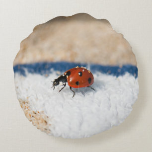 Crawling ladybug round cushion
