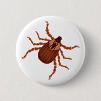 Crawly Realistic Tick Illustration