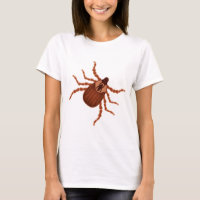 Crawly Realistic Tick Illustration