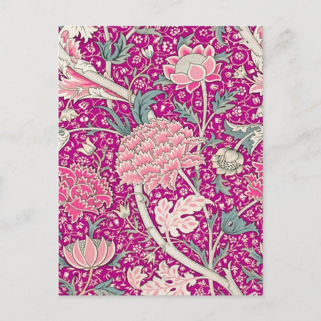 Cray in Pink Postcard (Front)