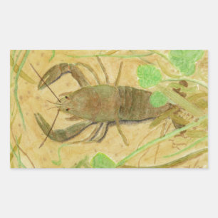 Crayfish Rectangular Sticker
