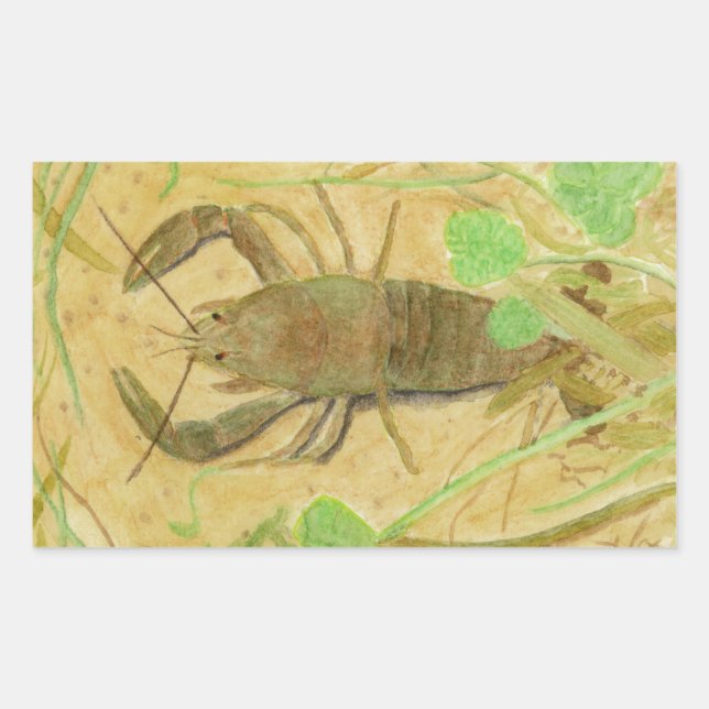Crayfish Rectangular Sticker (Front)