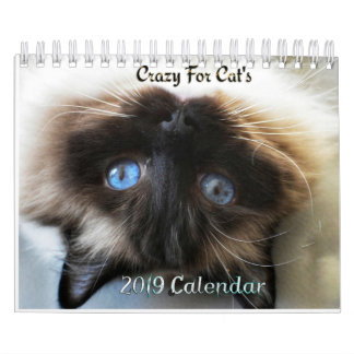 Crazy about Cats  2023 wall calendar