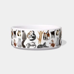 Crazy About Cats Pet Bowl