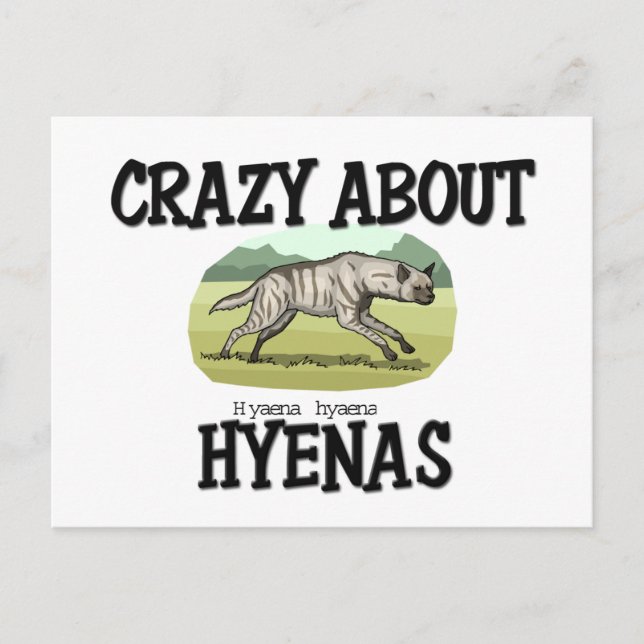 Crazy About Hyenas Postcard (Front)