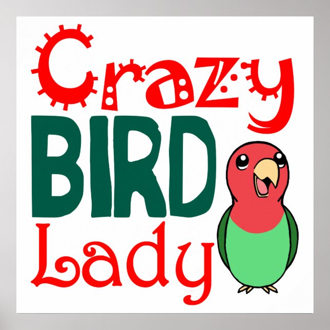 Crazy bird lady poster (Front)