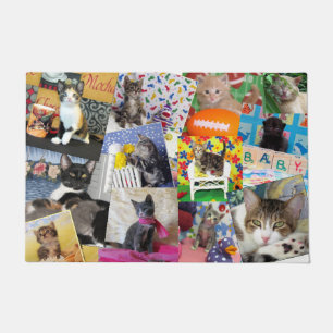 Crazy Cat Lady Doormat  (24 X 36)