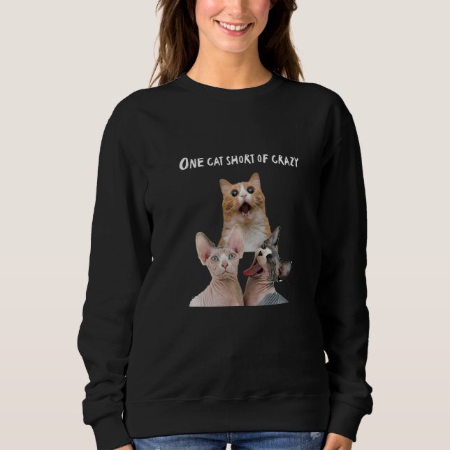 Crazy Cat Lady Man Tees One Cat Short Of Crazy (Front)