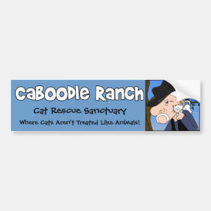 'Crazy Cat Man' Bumper Sticker