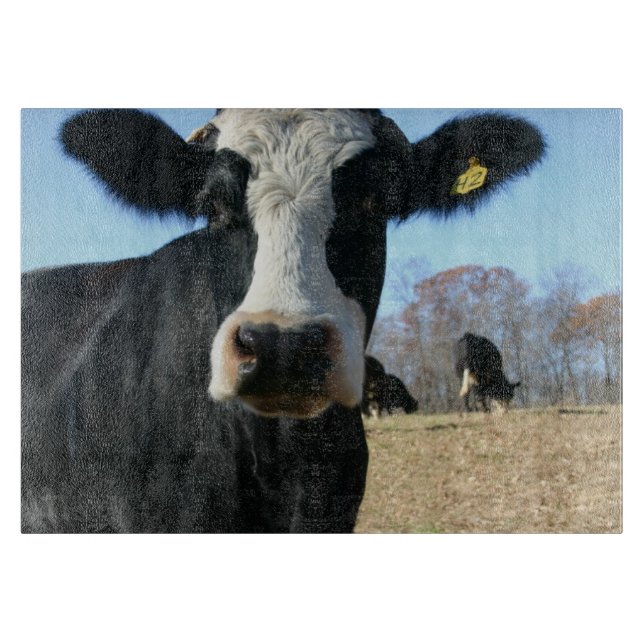 Crazy Cow Cutting Board (Front)