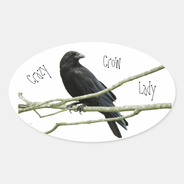 Crazy Crow Lady Oval Sticker (Front)