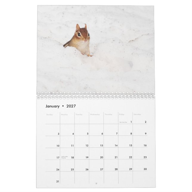 Crazy Cute Chipmunks 2011 Calendar (Jan 2027)