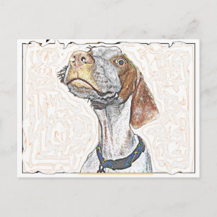 Crazy Eyes Postcard