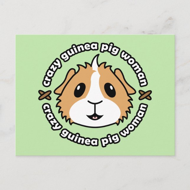 Crazy Guinea Pig Woman Postcard (Front)