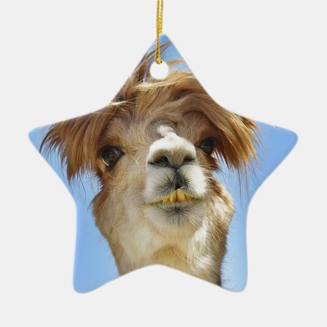Crazy Hair Alpaca Ceramic Tree Decoration (Front)