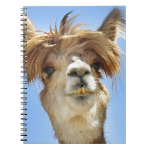 Crazy Hair Alpaca Spiral Notebook