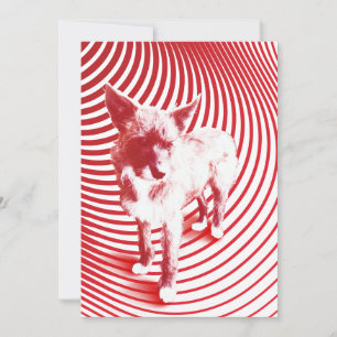 crazy hazie invitation