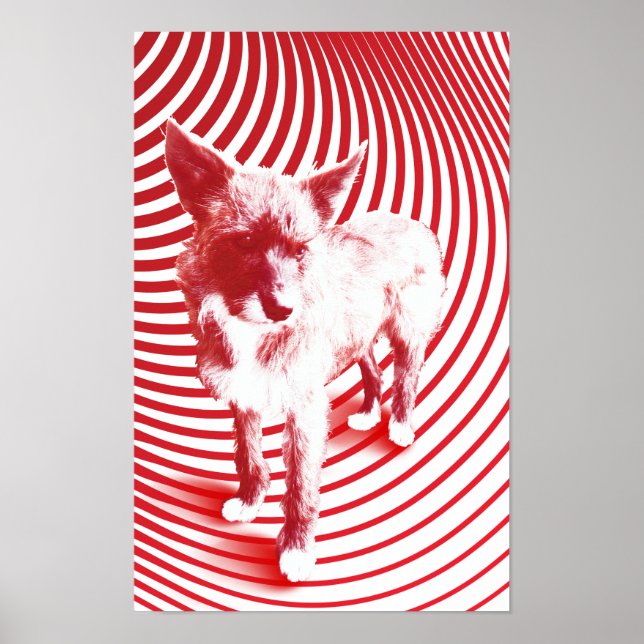 crazy hazie poster (Front)