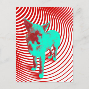 crazy hazie pups postcard