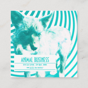 crazy hazie pups stamp card