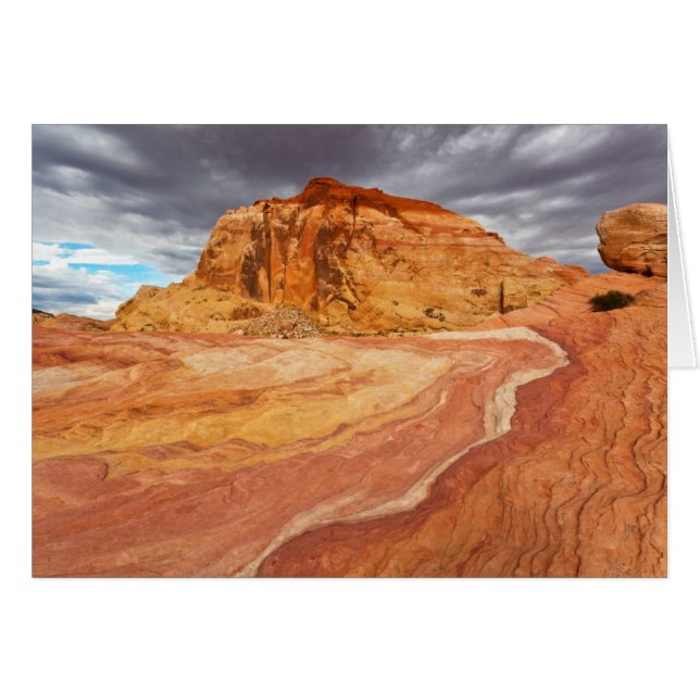 Crazy Hill Tempest (Front Horizontal)