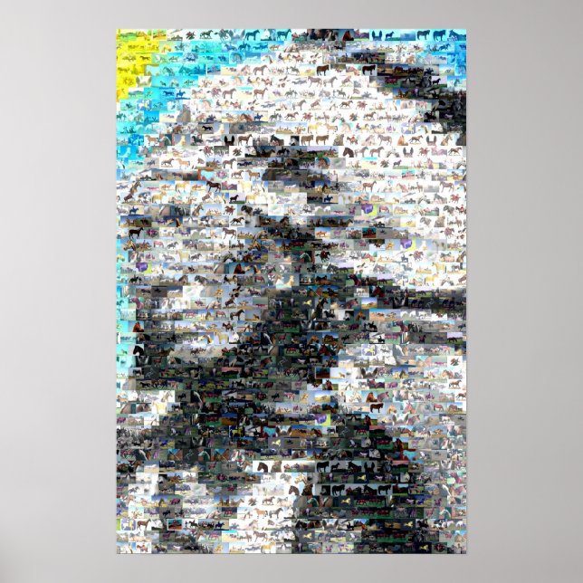 Crazy Horse Indian Poster (Front)